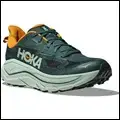 Hoka Challenger 8